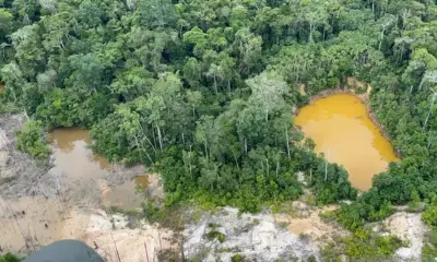 Justiça condena União por omissão em crise Yanomami e exige ações contra contaminação