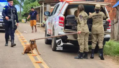 No Acre, cachorro é encontrado morto e outro debilitado em caso de maus-tratos