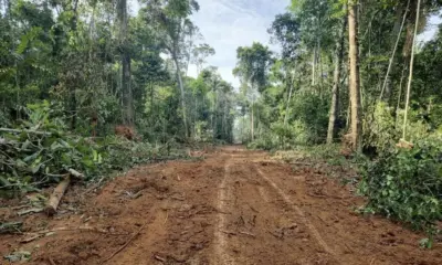 Moradores de Porto Walter voltam a reabrir ramal que liga a Cruzeiro do Sul e Rodrigues Alves