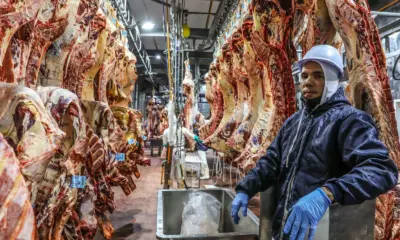 Frigoríficos geram 3 mil empregos diretos no Acre