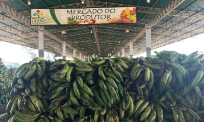 Safra de banana e melancia movimenta Ceasa em Rio Branco