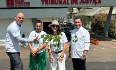 Tribunal de Justiça do Acre quer plantar 15 mil árvores até 2030