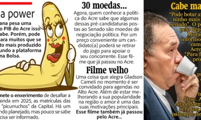 Voando sem asas