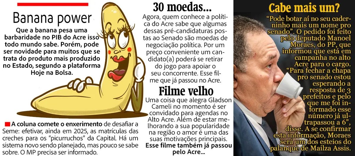 Voando sem asas