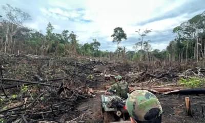 PF deflagra operações para combater invasão e desmatamento de terras pno Acre