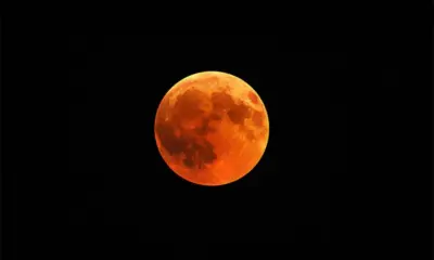 Programa do Observatório Nacional vai retransmitir eclipse total da Lua neste domingo