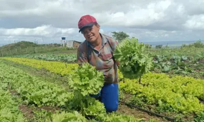Acre tem quase 6 mil famílias atendidas pelo ‘Bolsa Verde’
