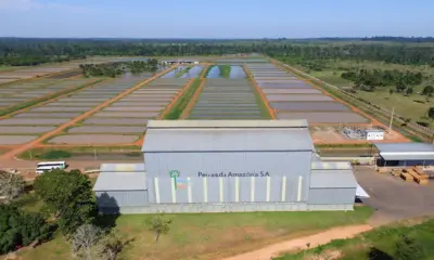 Justiça decreta novo ciclo de leilões da Peixes da Amazônia