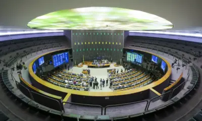 Câmara aprova colaboração entre órgãos para fiscalização de crimes