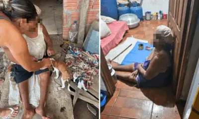 Cadela é resgatada de maus-tratos no AC; dona vive em vulnerabilidade