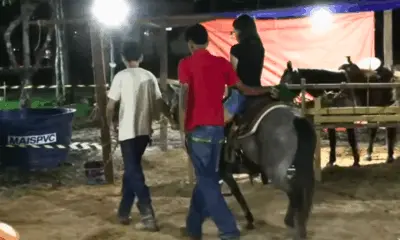 Espaço com pôneis encanta crianças no Festival da Macaxeira