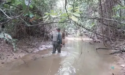 Comunidade e bombeiros intensificam as buscas por jovem desaparecido em Epitaciolândia