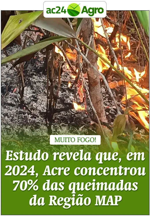 Estudo revela que, em 2024, Acre concentrou 70% das queimadas da Região MAP
