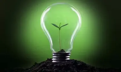 Acre cria Programa de Incentivo ao Microempreendedorismo Verde