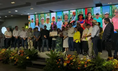 Apoio do Sebrae fortalece cafés especiais e destaca produtores no Qualicafé 2025