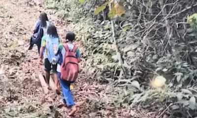 Presença de onça ameaça ano letivo de alunos no interior do Acre