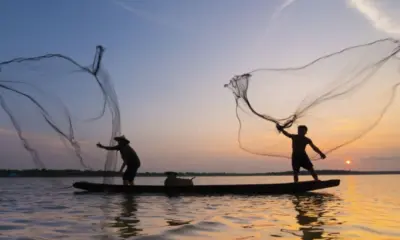 Ministério da Pesca suspende 206 licenças de pescadores no Amazonas