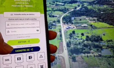 Nova 364 lança aplicativo oficial e inicia cadastramento de usuários