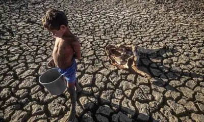 Graziano diz que fome se concentra na Amazônia e alerta: “sem floresta, não há alimento”