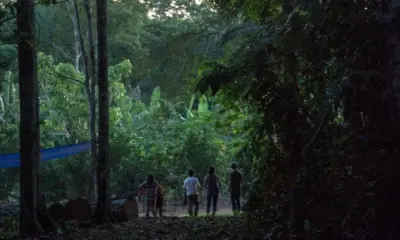 Governo Federal mantém operação contra atividades ilegais em terra indígena de Rondônia