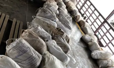 Facções usam carga de pirarucu para traficar drogas e travam apoio federal à pesca