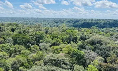 Governo vai auditar situação fundiária e ambiental de propriedades na Amazônia Legal