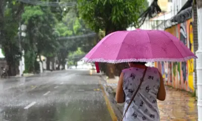 Belém lança sistema gratuito de empréstimo de sombrinhas