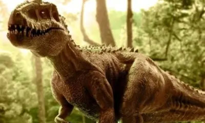 Pesquisadores encontram pegadas de dinossauros gigantes em Roraima