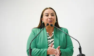 Elzinha apresenta pacote de leis em homenagem ao Dia da Pessoa Idosa