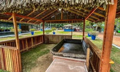Festival da Macaxeira começa hoje no Horto Florestal; veja programação