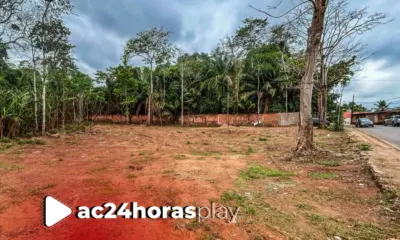 Prefeitura garante estacionamento, segurança e internet no Festival da Macaxeira