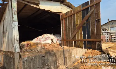 Frigorífico é interditado por irregularidades sanitárias em Brasileia
