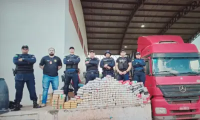 Forças de segurança apreendem quase meia tonelada de drogas em menos de 48 horas