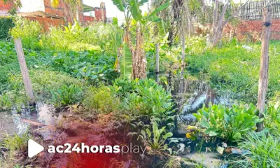 Moradores do Floresta Sul convivem com esgoto a céu aberto e cobram ação da Prefeitura