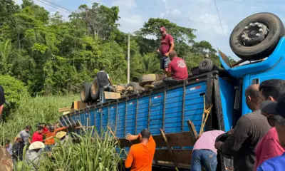 Caminhão boiadeiro tomba em Rio Branco e animais morrem em acidente