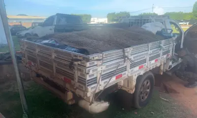 Aproximadamente 900 quilos de peixe são apreendidos em transporte irregular na BR-364