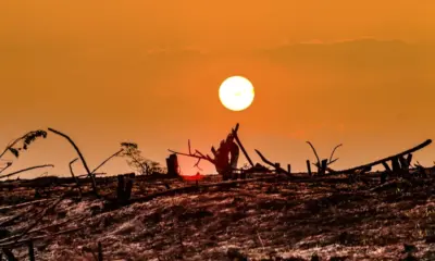Um terço dos acreanos já sentiu os efeitos das mudanças climáticas, aponta pesquisa