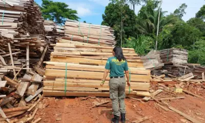 Ibama aplica R$ 13 milhões em multas e bloqueia créditos florestais ilegais no AC