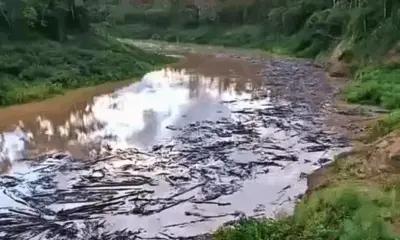 Defesa Civil alerta para alto risco em navegação no rio Acre após registro de muitos balseiros