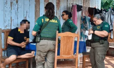 Ibama deflagra Operação Feira Virtual em Brasileia para combater crimes