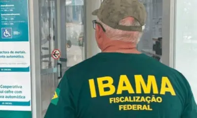 Ibama multa fazendeiros e bancos por financiar desmatamento ilegal na Amazônia