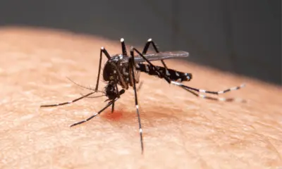 Casos de dengue aumentam 88% no Acre em 2025, aponta Ministério da Saúde