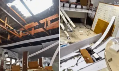 Diretor explica causas e medidas após queda de árvore na Escola Adalberto Sena