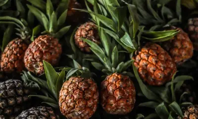 1ª Mostra Tarauacaense dos Produtores Rurais começa nesta quinta