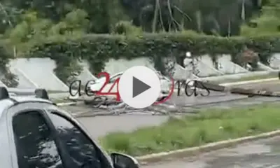 Estrada do Calafate é interditada após carro derrubar dois postes