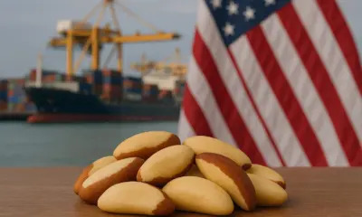 Cooperacre já recebe contatos de empresas norte-americanas interessadas em castanha