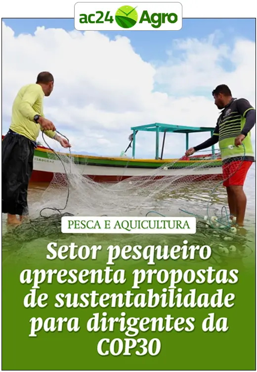 Setor pesqueiro apresenta propostas de sustentabilidade para dirigentes da COP30