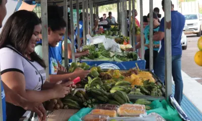 Ainda é incerta realização da Feira de Exposições da Agricultura Familiar