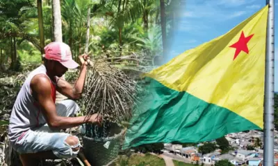 Acre será um dos principais beneficiados do programa federal para cadeias produtivas