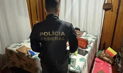 PF e Ibama miram suspeitos de desmatar mais de 417 hectares em Cruzeiro do Sul